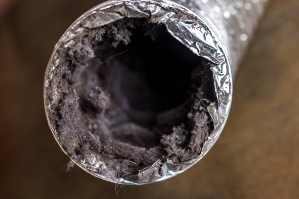 Best Air Duct Cleaning Near Me  in Laguna Niguel, CA
